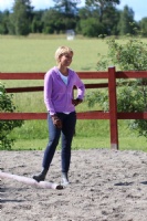 Massor av bilder